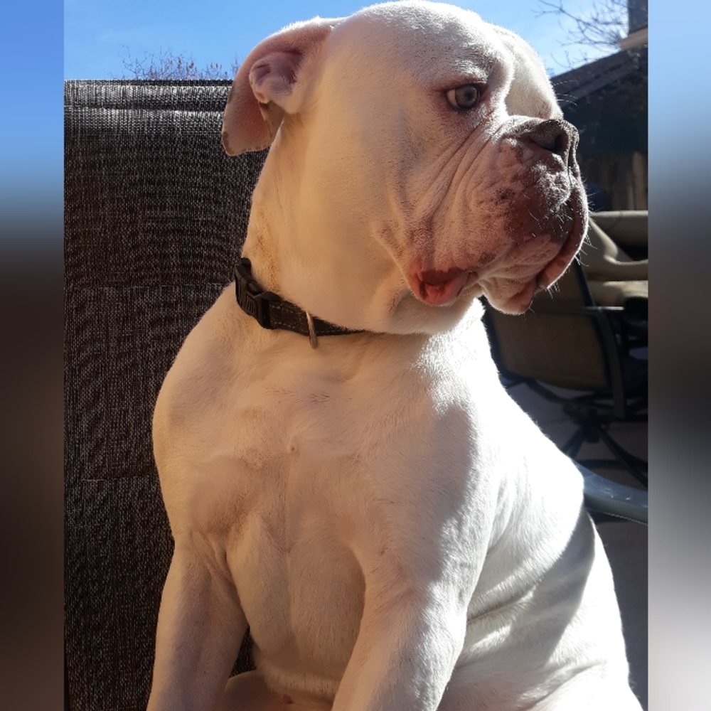 Morning Coffee With @bascalcat - Picture 7 of 16